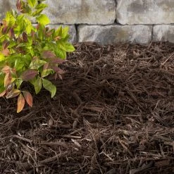 Thing Premium 2-cu ft Dark Brown Hardwood Mulch 9 Thing Premium 2-cu ft Dark Brown Hardwood Mulch -Cheap Landscaping Store 05316692 scaled