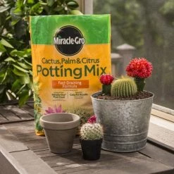 Miracle-Gro Soil & Soil Amendments 8-Quart Potting Soil Mix -Cheap Landscaping Store 05444615