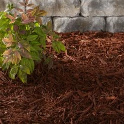 Thing Premium 2-cu ft Red Hardwood Mulch 13 Thing Premium 2-cu ft Red Hardwood Mulch -Cheap Landscaping Store 07663196