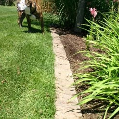 Thing Insignia 5-in L x 8-in W x 3-in H Concrete Straight Edging Stone -Cheap Landscaping Store 07921841