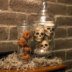 Thing Soil & Soil Amendments 250-cu in Spanish Moss 6 Thing Soil & Soil Amendments 250-cu in Spanish Moss -Cheap Landscaping Store 07971518