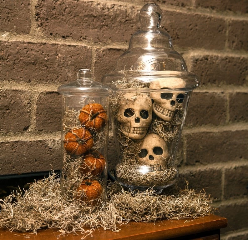 Thing Soil & Soil Amendments 250-cu in Spanish Moss 3 Thing Soil & Soil Amendments 250-cu in Spanish Moss - Image 3