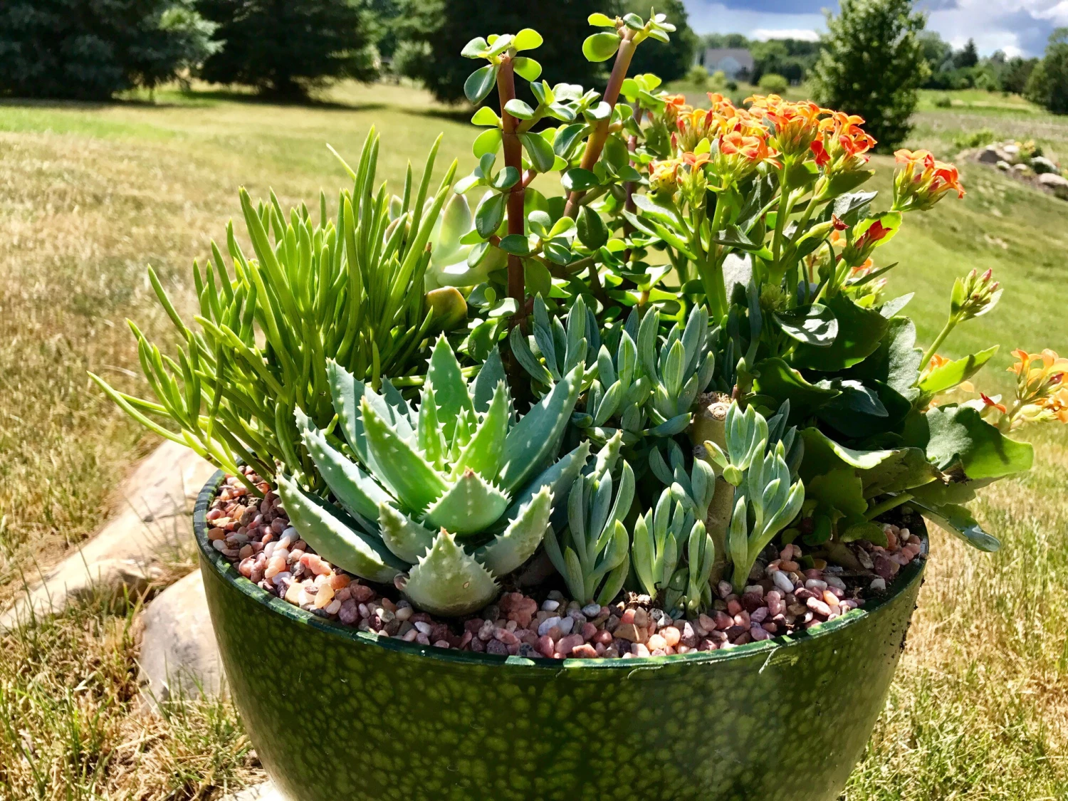 AKASHA Landscaping Rock 4-lb Indoor Decorative Rock 6 AKASHA Landscaping Rock 4-lb Indoor Decorative Rock - Image 6