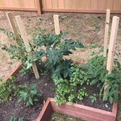 Thing Landscape Fabric & Stakes 6-Pack 60-in Wood Landscape Stakes 8 Thing Landscape Fabric & Stakes 6-Pack 60-in Wood Landscape Stakes -Cheap Landscaping Store 08337292