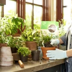 Miracle-Gro Soil & Soil Amendments Indoor 6-Quart Potting Soil Mix -Cheap Landscaping Store 08465712