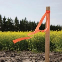 Thing Landscape Fabric & Stakes 6-Pack 60-in Wood Landscape Stakes 11 Thing Landscape Fabric & Stakes 6-Pack 60-in Wood Landscape Stakes -Cheap Landscaping Store 08538652