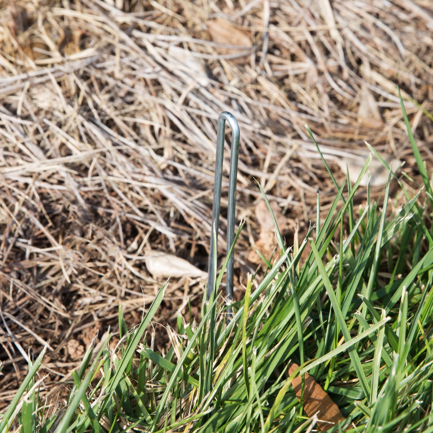 COL-MET 10-in Silver Galvanized Steel Edging Pin 2 COL-MET 10-in Silver Galvanized Steel Edging Pin - Image 2