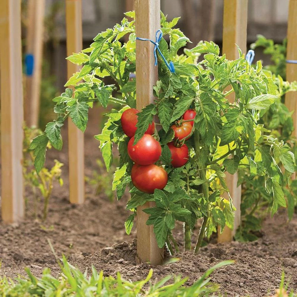 Thing Landscape Fabric & Stakes 12-Pack 12-in Wood Landscape Stake 2 Thing Landscape Fabric & Stakes 12-Pack 12-in Wood Landscape Stake - Image 2