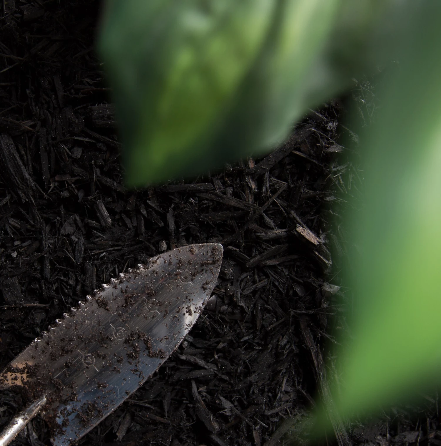 Thing Premium 2-cu ft Black Hardwood Mulch 5 Thing Premium 2-cu ft Black Hardwood Mulch - Image 5