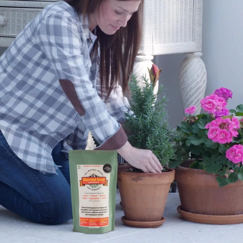 Harvest Gold Organics Soil & Soil Amendments Premium Soil Conditioner Organic Provides Organic Nutrients 3 Harvest Gold Organics Soil & Soil Amendments Premium Soil Conditioner Organic Provides Organic Nutrients - Image 3