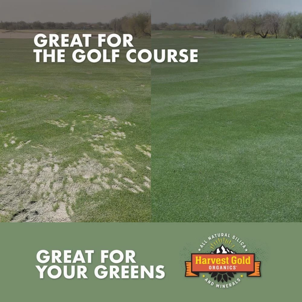 Harvest Gold Organics Soil & Soil Amendments Premium Soil Conditioner Organic Provides Organic Nutrients 5 Harvest Gold Organics Soil & Soil Amendments Premium Soil Conditioner Organic Provides Organic Nutrients - Image 5