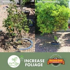 Harvest Gold Organics Soil & Soil Amendments Premium Soil Conditioner Organic Provides Organic Nutrients 13 Harvest Gold Organics Soil & Soil Amendments Premium Soil Conditioner Organic Provides Organic Nutrients -Cheap Landscaping Store 12097051