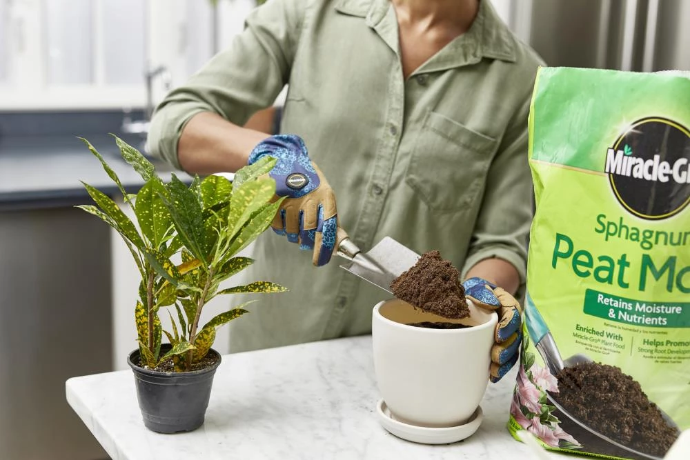 Miracle-Gro Soil & Soil Amendments Moisture Control Peat Moss Moisture Control 5 Miracle-Gro Soil & Soil Amendments Moisture Control Peat Moss Moisture Control - Image 5