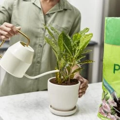 Miracle-Gro Soil & Soil Amendments Moisture Control Peat Moss Moisture Control 14 Miracle-Gro Soil & Soil Amendments Moisture Control Peat Moss Moisture Control -Cheap Landscaping Store 12190882