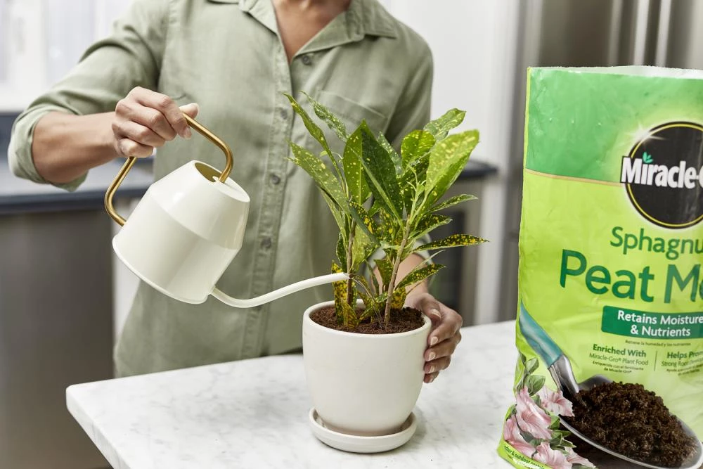 Miracle-Gro Soil & Soil Amendments Moisture Control Peat Moss Moisture Control 6 Miracle-Gro Soil & Soil Amendments Moisture Control Peat Moss Moisture Control - Image 6