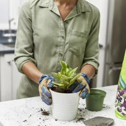 Miracle-Gro Soil & Soil Amendments Perlite Improves Soil Structure -Cheap Landscaping Store 12190890