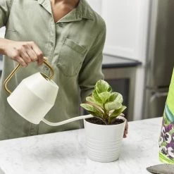 Miracle-Gro Soil & Soil Amendments Perlite Improves Soil Structure -Cheap Landscaping Store 12190891