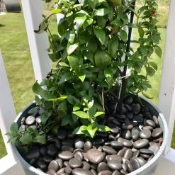 AKASHA Landscaping Rock 5-lb Black Indoor Decorative Rock -Cheap Landscaping Store 17076050