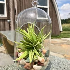 AKASHA Landscaping Rock 5-lb Indoor Decorative Rock 10 AKASHA Landscaping Rock 5-lb Indoor Decorative Rock -Cheap Landscaping Store 17076905