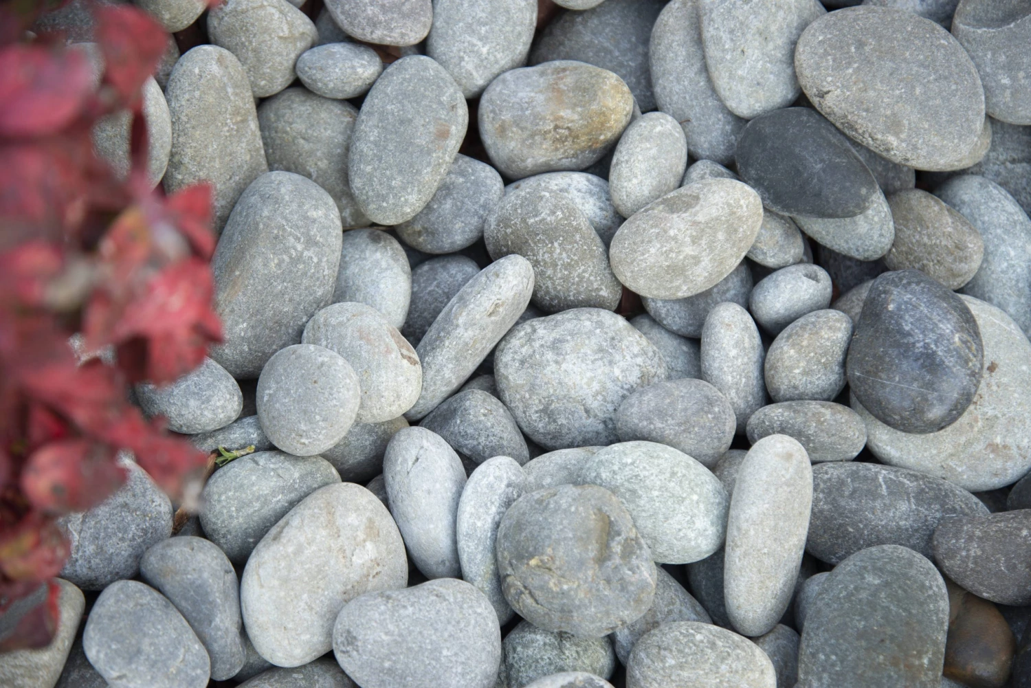 WonderLand Landscaping Rock 0.4-cu ft Gray Decorative Rock 3 WonderLand Landscaping Rock 0.4-cu ft Gray Decorative Rock - Image 3