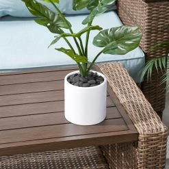 Cheap Landscaping Store -Cheap Landscaping Store 40805959