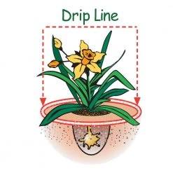 Espoma Soil & Soil Amendments Garden Organic Lime Ph Balancer -Cheap Landscaping Store 42677962