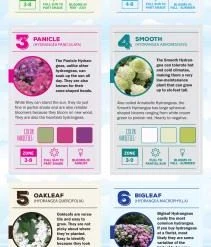 Espoma Soil & Soil Amendments Soil Acidifier Organic Ph Balancer -Cheap Landscaping Store 43201441