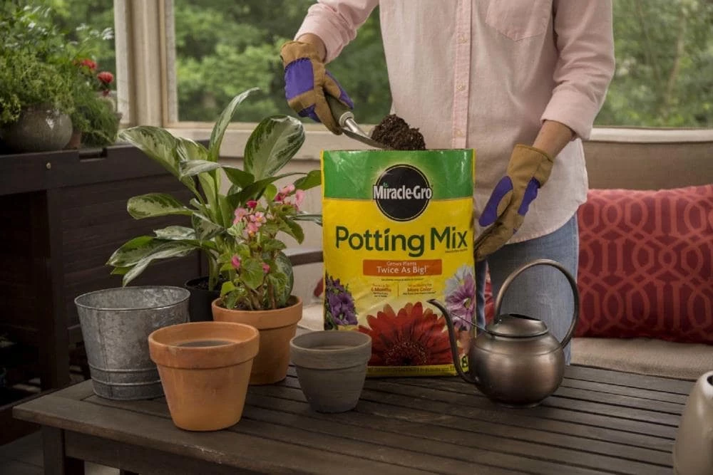 Miracle-Gro Soil & Soil Amendments Potting Mix Bundle 8-Quart Potting Soil Mix 7 Miracle-Gro Soil & Soil Amendments Potting Mix Bundle 8-Quart Potting Soil Mix - Image 7