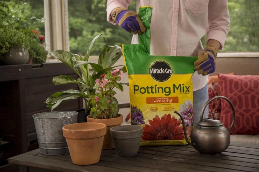 Miracle-Gro Soil & Soil Amendments Potting Mix Bundle 8-Quart Potting Soil Mix 5 Miracle-Gro Soil & Soil Amendments Potting Mix Bundle 8-Quart Potting Soil Mix - Image 5
