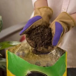 Miracle-Gro Soil & Soil Amendments Potting Mix Bundle 8-Quart Potting Soil Mix 14 Miracle-Gro Soil & Soil Amendments Potting Mix Bundle 8-Quart Potting Soil Mix -Cheap Landscaping Store 44004198