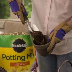 Miracle-Gro Soil & Soil Amendments Potting Mix Bundle 8-Quart Potting Soil Mix 16 Miracle-Gro Soil & Soil Amendments Potting Mix Bundle 8-Quart Potting Soil Mix -Cheap Landscaping Store 44004200