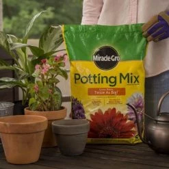 Miracle-Gro Soil & Soil Amendments Potting Mix Bundle 8-Quart Potting Soil Mix 17 Miracle-Gro Soil & Soil Amendments Potting Mix Bundle 8-Quart Potting Soil Mix -Cheap Landscaping Store 44004204