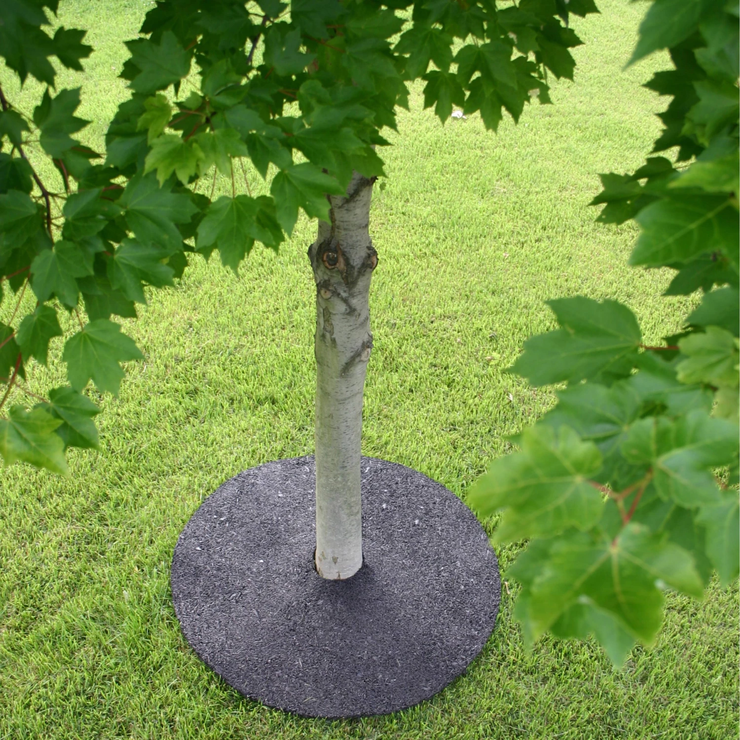 Rubberific Mulch Brown Recycled Rubber Rubber 36-in Tree Ring 8 Rubberific Mulch Brown Recycled Rubber Rubber 36-in Tree Ring - Image 8