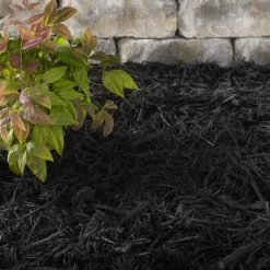 Thing Premium 2-cu ft Black Hardwood Mulch 15 Thing Premium 2-cu ft Black Hardwood Mulch -Cheap Landscaping Store 44347261