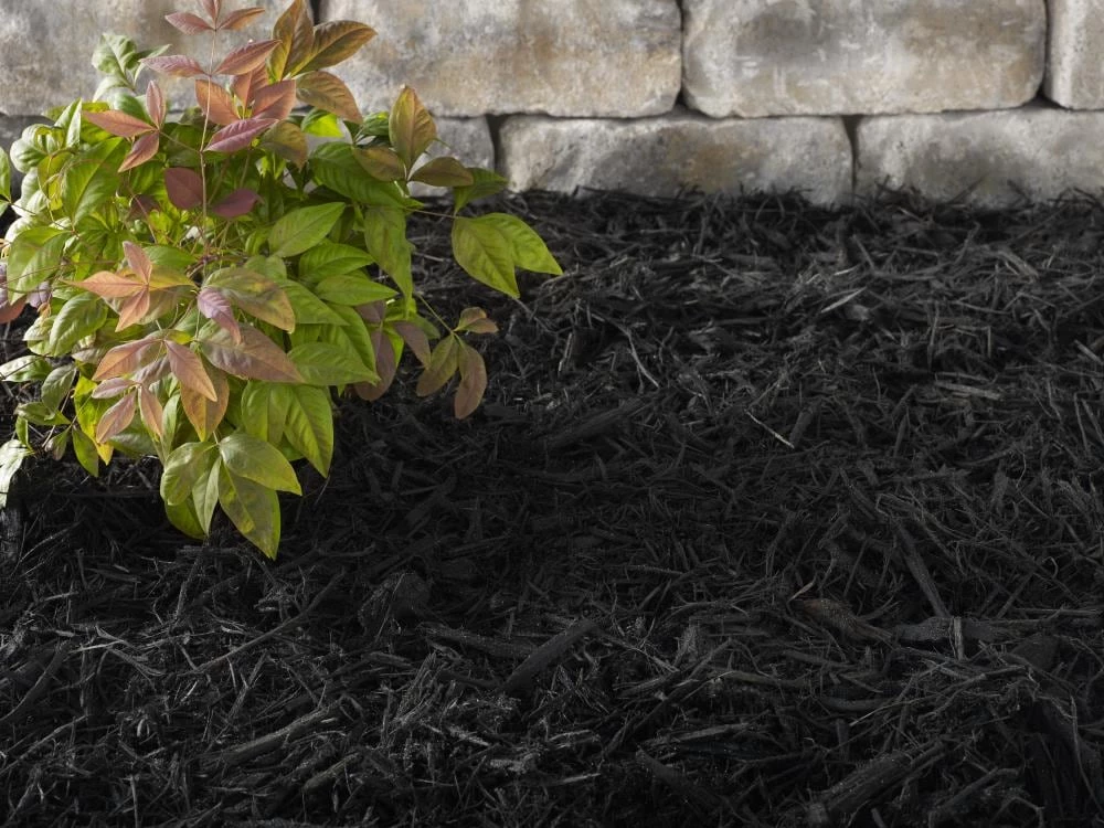 Thing Premium 2-cu ft Black Hardwood Mulch 8 Thing Premium 2-cu ft Black Hardwood Mulch - Image 8