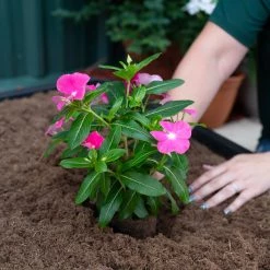 Sta-Green Soil & Soil Amendments Perfect 25-Quart Potting Soil Mix -Cheap Landscaping Store 45499182