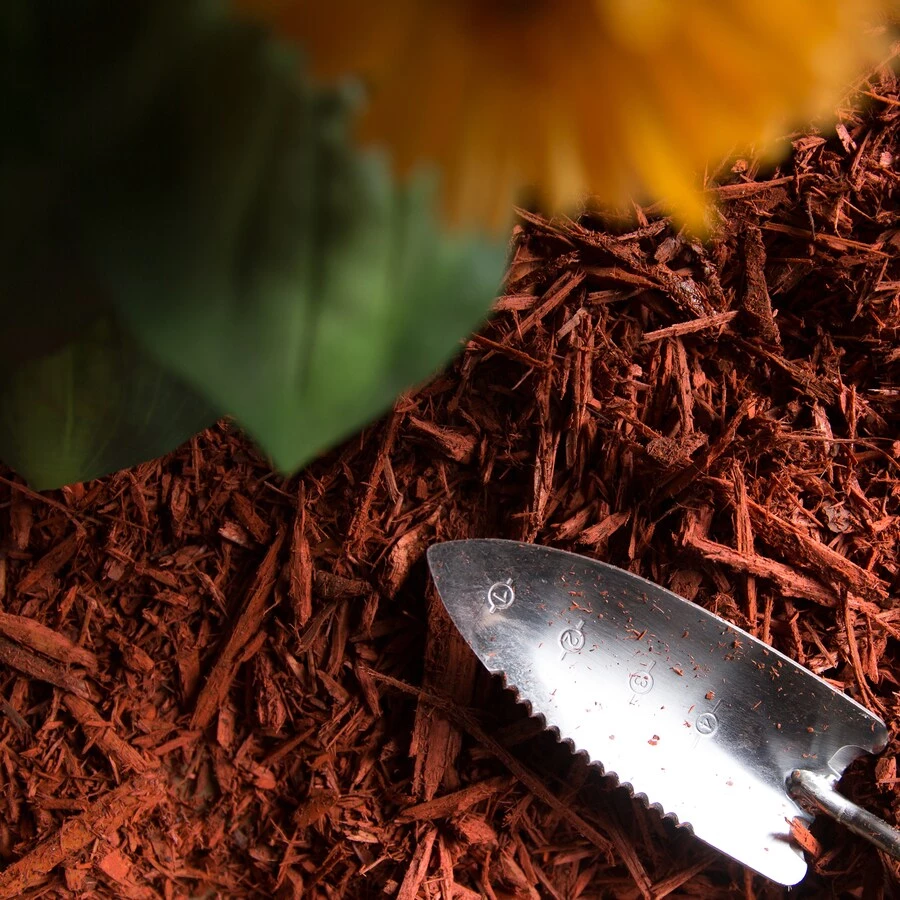 Thing Premium 2-cu ft Red Hardwood Mulch 4 Thing Premium 2-cu ft Red Hardwood Mulch - Image 4